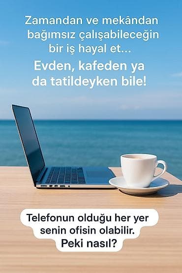 Marketoloq tələb olunur, 18-29 yaş, Təcrübəsiz