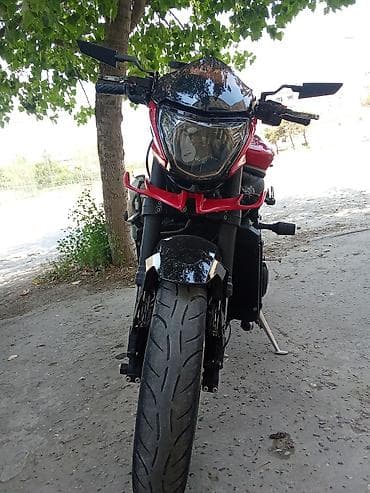 dayun dy 250: Triump — 3