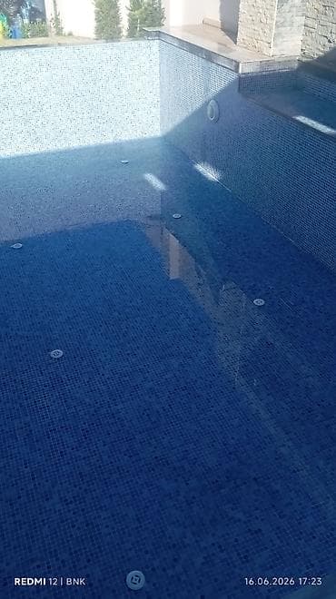 tulpan gulleri: 🏊‍♂️ HOVUZ TƏMİZLİK XİDMƏTİ 🏊‍♀️ Hovuzunuz yaşıllaşıb və ya — 3