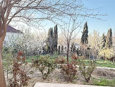 Salam olsun hamiya Oz heyetimde 6 sot torpaq sahesi satiram,qaz,su lalafo.az -da Salam olsun hamiya Oz heyetimde 6 sot torpaq sahesi satiram,qaz,su