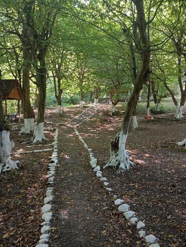 kirayə aylıq: 3000 kv. m, 3 otaqlı — 3