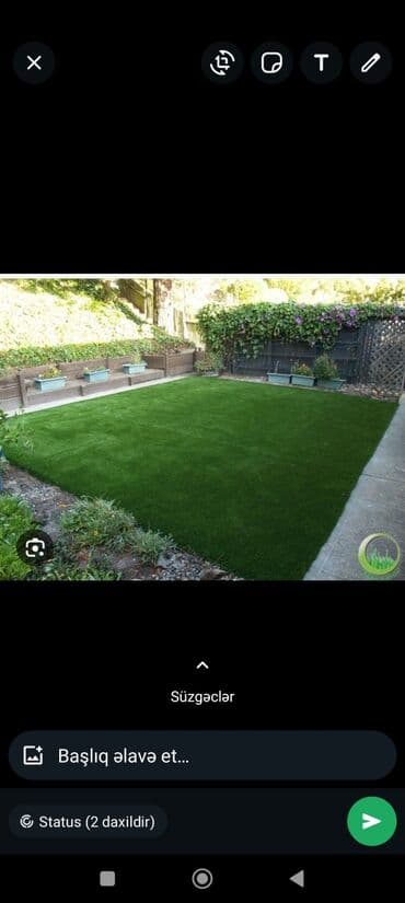 ot toxumu satışı: Qazon çatrlma qurasdrma torf gubresi dermanlanmasi agaclarin ekini — 25