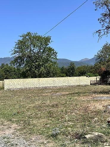 10 sot, Tikinti, Kupça (Çıxarış)