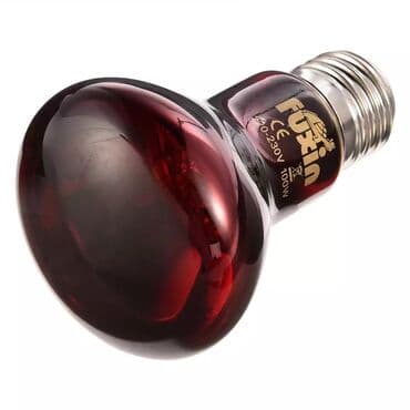 сколько стоит инкубатор: Qızdırıcı lampa İnkubator ehtiyat hissələri Sumqayıt şəhəri 10 cu mkr — 1