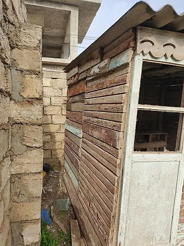 balaca dana: Salam. Göyərçin,bildirçin, toyuq-cücə saxlamaq üçün çox əlverişlidir — 4