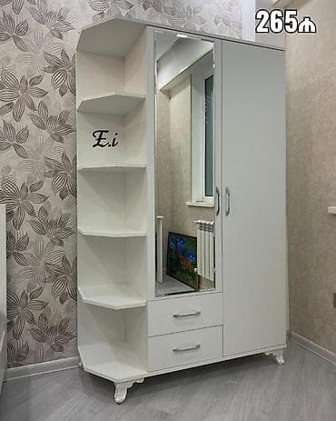 2 qapılı, Güzgülü, Ağ, Açılan, Düz dolab