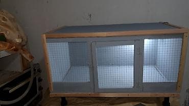 hamster satis: Teze yixilib uzunluq 75 eni 43. ici iwiqlidi ve yerden ayaqli — 8