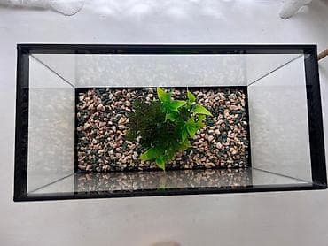 Dördbucaq akvarium, Boş, 9 l, Ünvandan götürmə