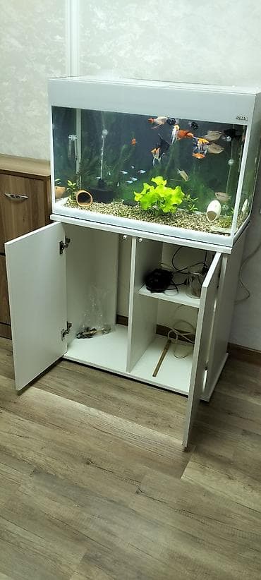 Аквариум-шкаф, Вместе с рыбами, 125 л, Самовывоз — 4