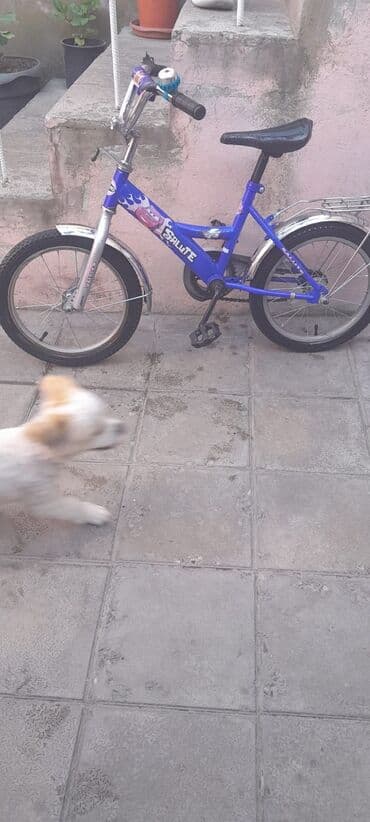 veli: İşlənmiş İki təkərli Uşaq velosipedi 16", Ünvandan götürmə — 3