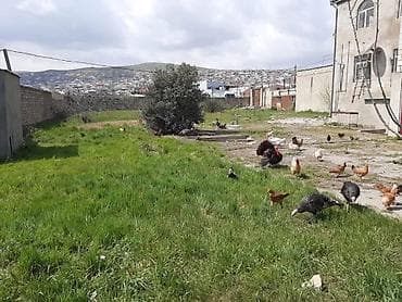 1 otaqlı, 20 kv. m