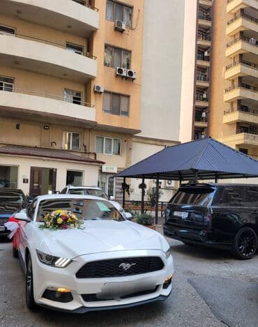 аренда авто ош матиз без залога: 2018-ci il Mustang. Toy, Nişan və digər tədbirlər üçün sifariş edə — 11