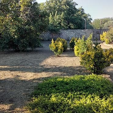 Bağ evlərinin satışı: Saray, 65 kv. m, 3 otaqlı, Hovuzsuz, İşıq — 1