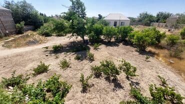 sulutəpə çiçək qəsəbəsi: 12 sot, Tikinti, Maklerlər narahat etməsin, Kupça (Çıxarış) — 10