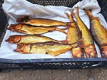 mələk tortu: Məhsul: Tütsülənmiş balıq Təsvir: - Qızılı rəngli, bütöv şəkildə — 1