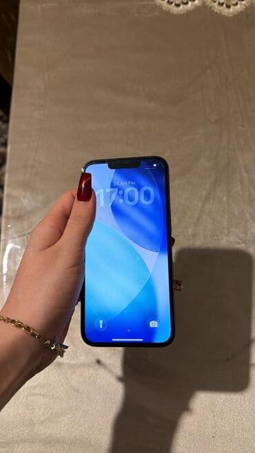 Lincoln: IPhone 13 Pro, Space Gray, Face ID — 4