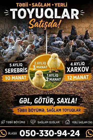 Toyuq, Yumurtalıq, Ünvandan götürmə, Ödənişli çatdırılma