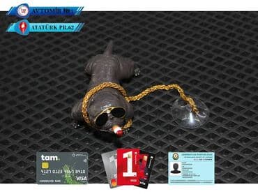 авито баку авто: Dekorativ it 🚙🚒 ünvana və bölgələrə ödənişli çatdırılma 💳birkart və — 1