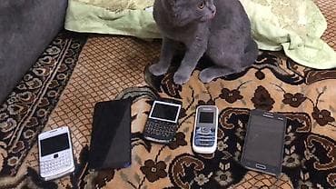 wifi modem usb: Kolleksiya şəklində köhnə model mobil telefonlar dəsti. Tərkib: - 2 — 1
