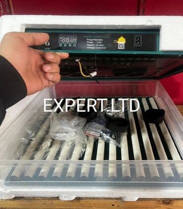 hinduska yumurtasi nece gune cixir: Expert şirkətinin rəsmi istehsalı olan, android-rejimli aparatların — 27