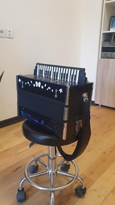 akkordeon: Akustik Akkordeon — 1