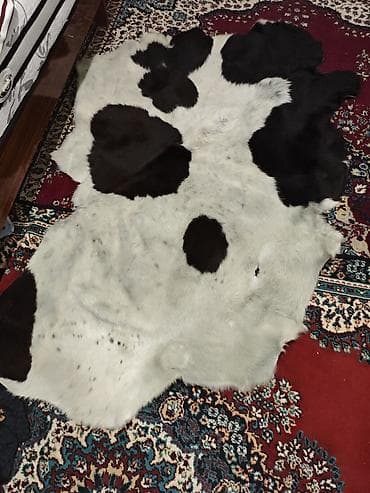 Məhsul: Dəri emalı və ayaqqabı istehsalı üçün material və kalıp dəsti