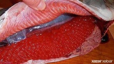 дистиллированная вода баку: 200 qr. kürü 20 azn — 8