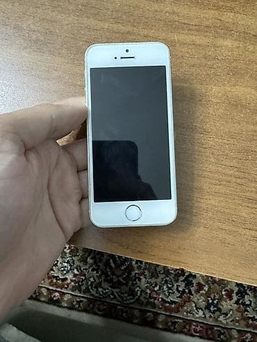 IPhone 5s, Gümüşü, Barmaq izi