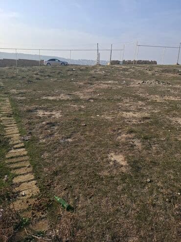 mx group inşaat: 8 sot, Tikinti, Mülkiyyətçi, Kupça (Çıxarış) — 7