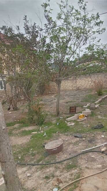 mx group inşaat: 2 sot, Tikinti, Mülkiyyətçi, Kupça (Çıxarış) — 5