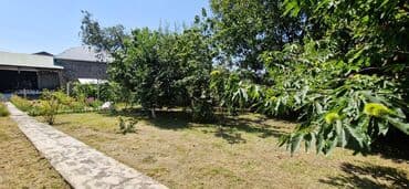 torpaq mingecevir: 12 sot, Tikinti, Makler, Kupça (Çıxarış) — 25