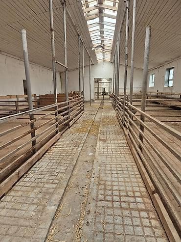 ucar emlak: Ferma mal saxlamaq üçün mükemmel bir yerdi erazisi böyük ve elave — 10