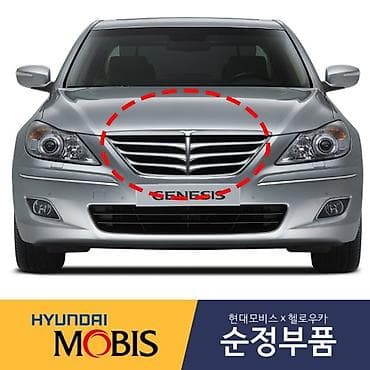 Hyundai GENESIS, 2011 il, Ödənişli çatdırılma