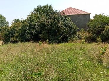 xacmazda torpaq satilir: 6 sot — 2