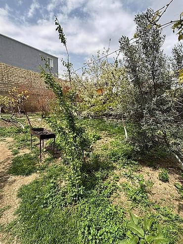 qarpiz satisi: 3 sot, Tikinti, Mülkiyyətçi, Kupça (Çıxarış) — 8