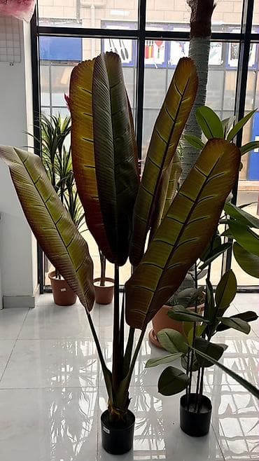 Искусственные цветы: Dekorativ süni ağaclar – interyer üçün Məhsul təsviri: - Realistik — 5