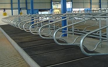 Другие с/х животные: Heyvan yatak Heyvan rezin ayaqaltı İnək yatak İri buynuzlu Heyvanlar — 3