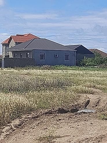 torpaa: Tikinti — 1