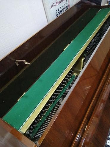 elektro akustik gitara: Şəki şəhərində təcili olaraq qəhvəyi rəngli, əyməayaq "Suita" pianosu — 6