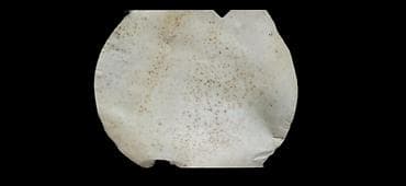 Keçi dərisi, heyvan dərisi, nağara, qoşanağara, kanon dərisi Rast lalafo.az -da Keçi dərisi, heyvan dərisi, nağara, qoşanağara, kanon dərisi Rast