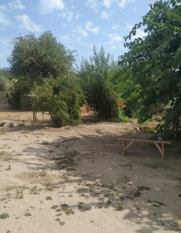 otel satışı: 8 sot — 2