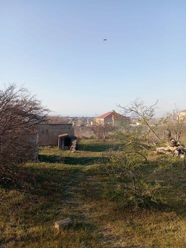 купить землю в азербайджане: 30 соток, Для сельского хозяйства, Риэлторам не беспокоить — 1