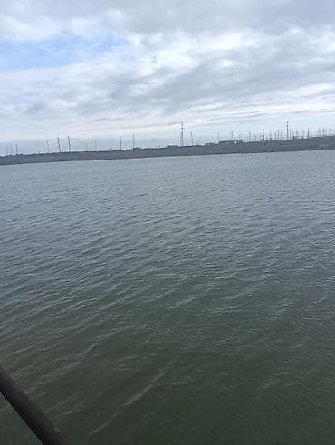 torpaq razin: Kənd təsərrüfatı — 8