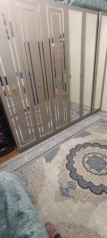 20 yanvar sekilleri: 6 qapı, Güzgülü, Boz, Digər material, Açılan, Düz dolab — 2