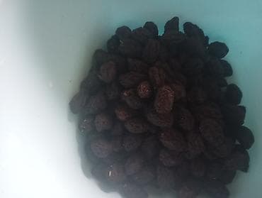 Qara kişmiş (qurudulmuş üzüm) - Tünd qara rəngli, ətli və ətirli