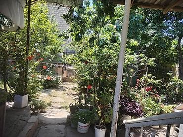 agac satilir: Mingeçevir şəhəri həyət evi satılır. Ünvan H. Z. TAĞIYEV Ev 28(keçmiş — 8