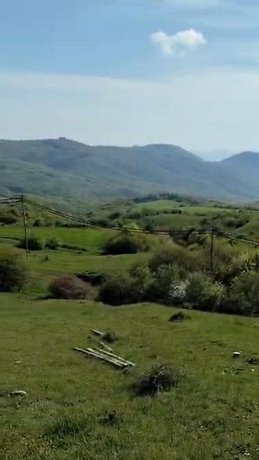 Daşınmaz əmlak: 24 sot, Mülkiyyətçi, Kupça (Çıxarış) — 7