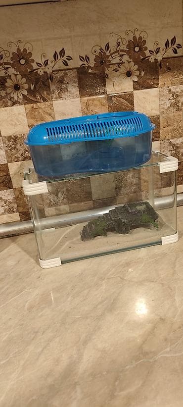 yumru akvariumlar: Akvaryum və tısbağa evi seti - Şüşə akvaryum: düzbucaqlı forma — 1