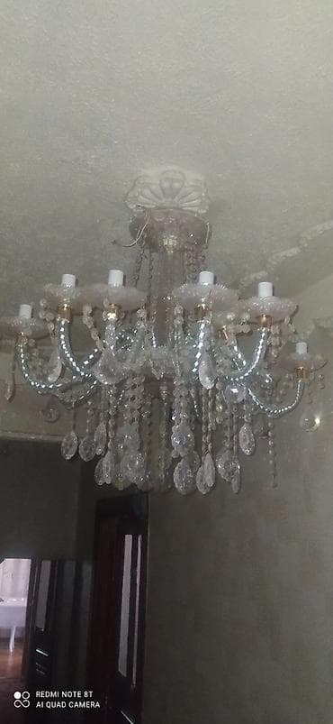 Bitkilər üçün dibçəklər: Çılçıraq — 3