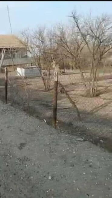 xacmazda 9 nom mektebin yanında ev torpaq satqısı: 9 sot, Bələdiyyə — 5